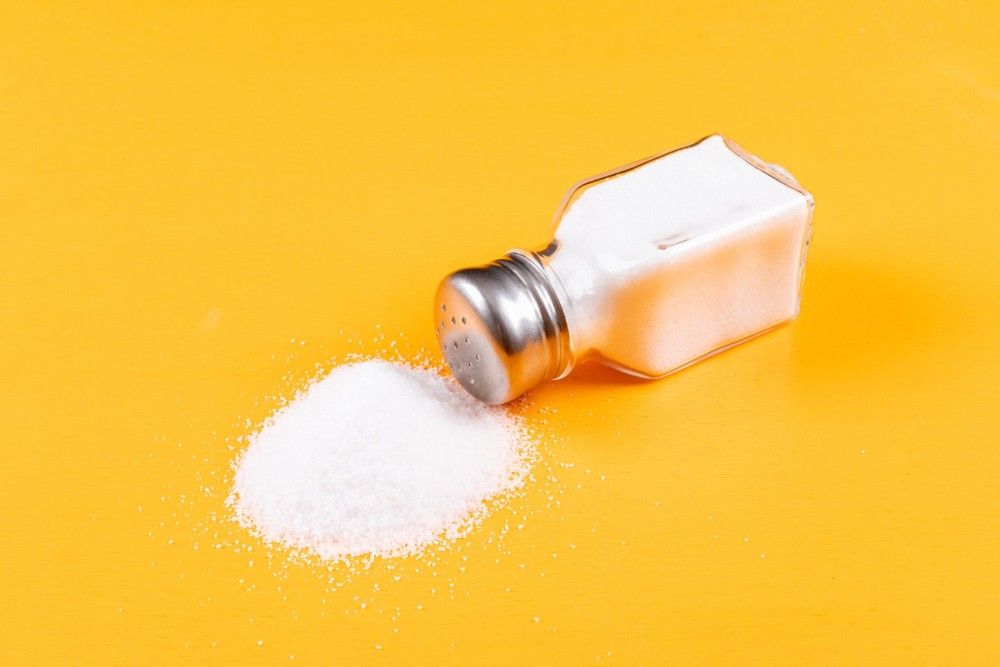 Salt shaker