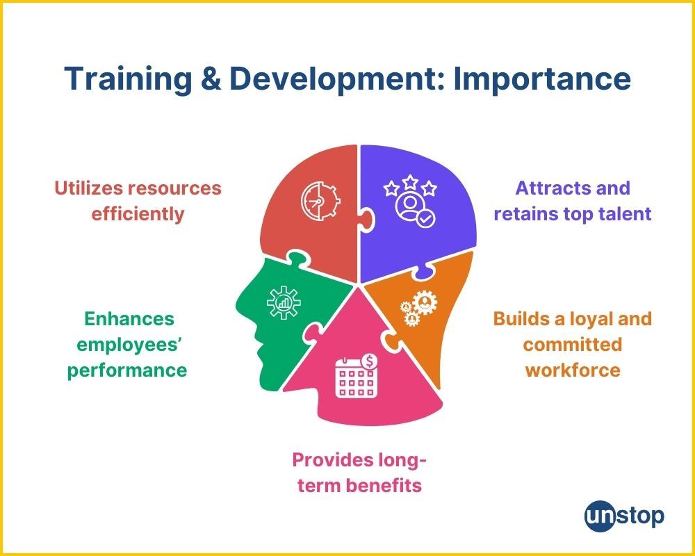 Difference Between Training and Development in HRM