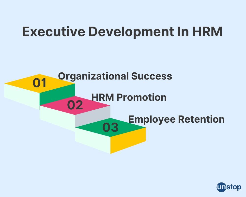 Executive development in HRM