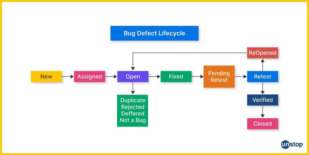 The stages of a bug life cycle