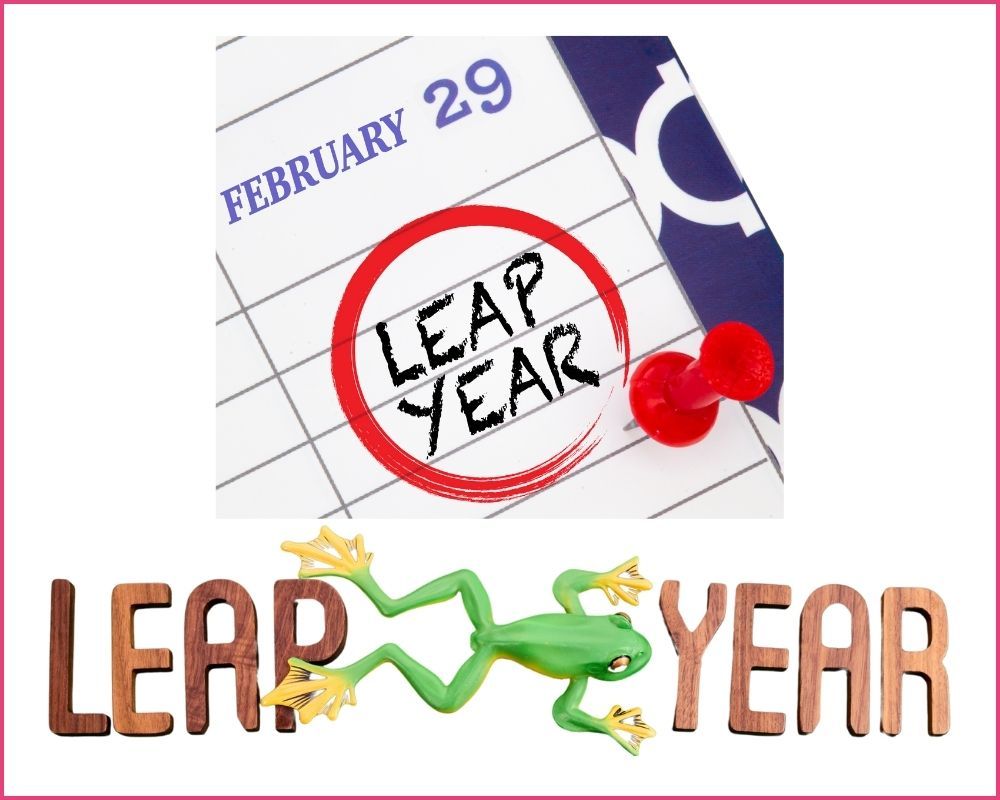 Leap year infographic 