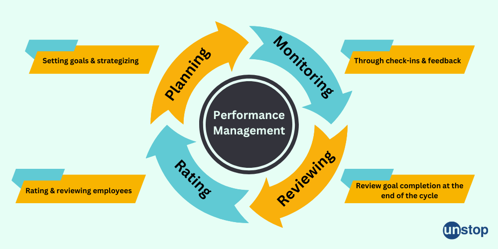 Performance Management Cycle