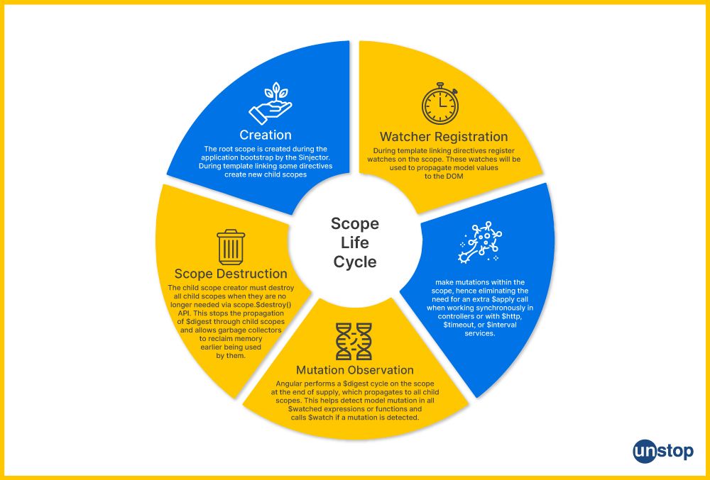 AngularJS Interview Questions: Scope Lifecycle