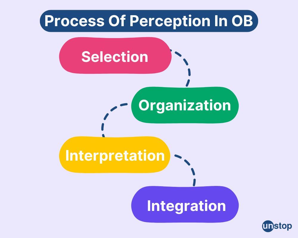 Perception In Organizational Behaviour: Meaning And Process // Unstop