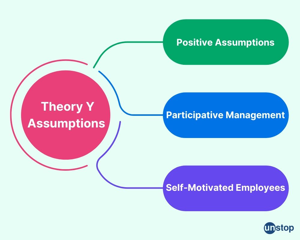 Assumptions in theory Y