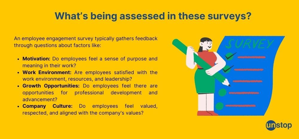 Assessment areas in employee engagement survey