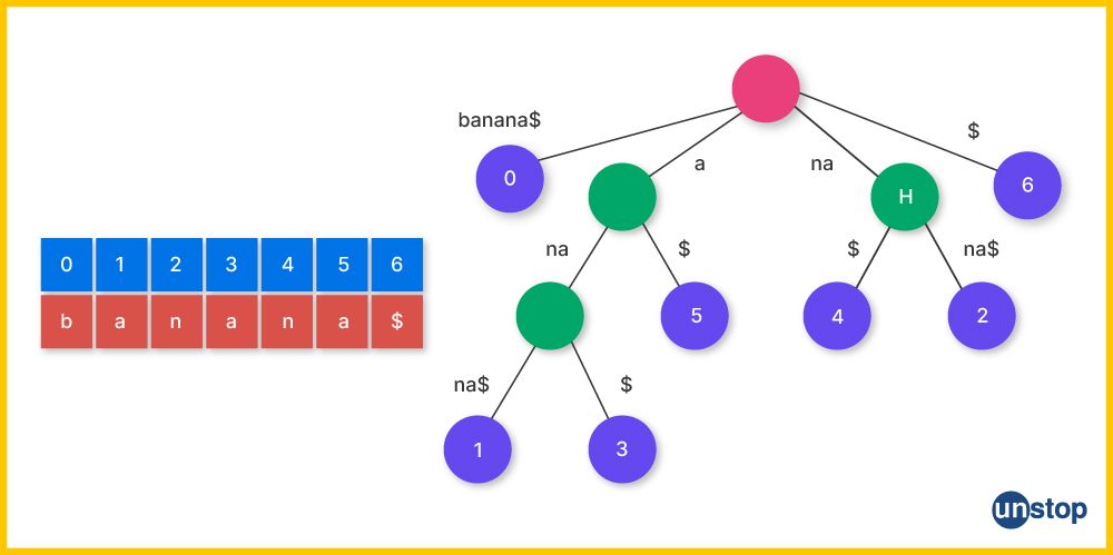 Suffix tree representation 