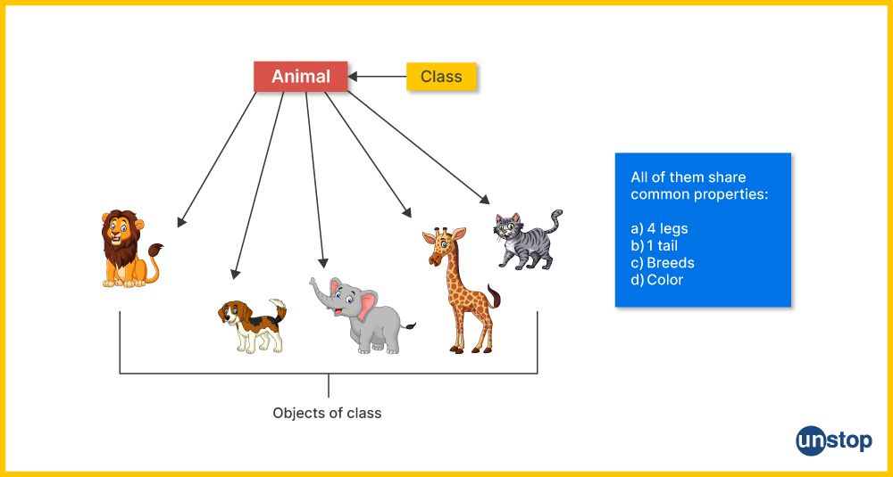 Class in C++ | A pictorial representation