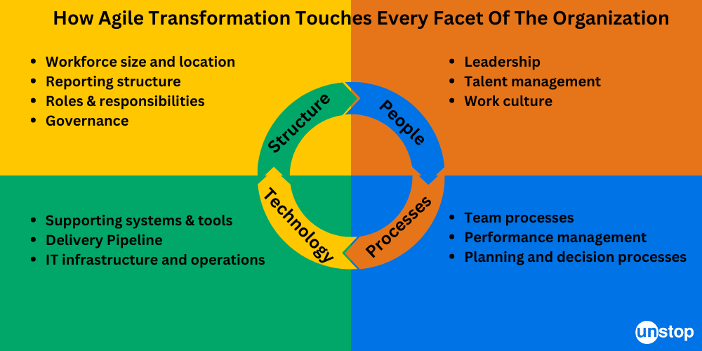 Organizational Agility - what are the changes