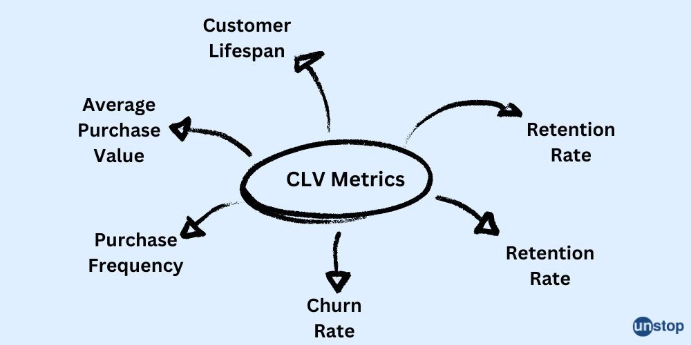 CLV Metrics