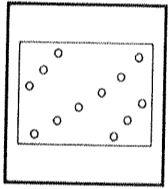 Infosys Puzzle Questions: Top 5 Puzzles with Answers for Freshers