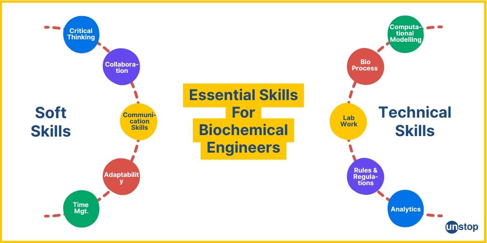 Essential skills needed for successful biochemical engineer career.