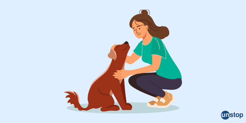 From Dorm Room To Dollar Bills: 35+ Side Hustle Ideas For College Students