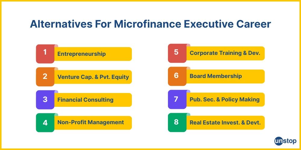 Alternatives for a micro-finance executive career.